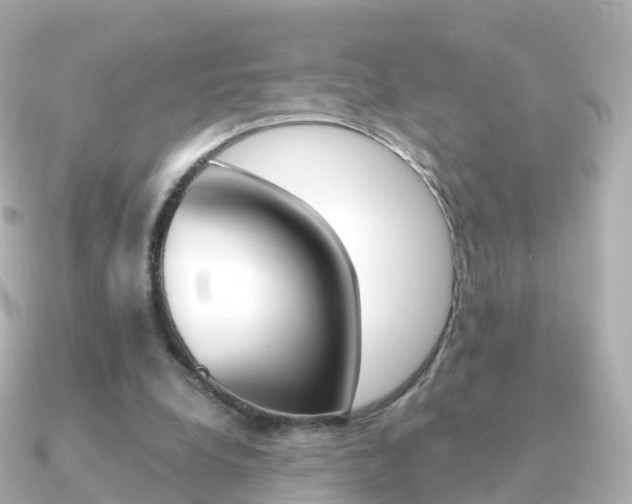 X0000091340248200708101024
