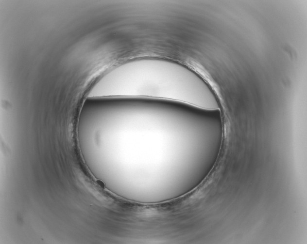X0000091340249200708101024
