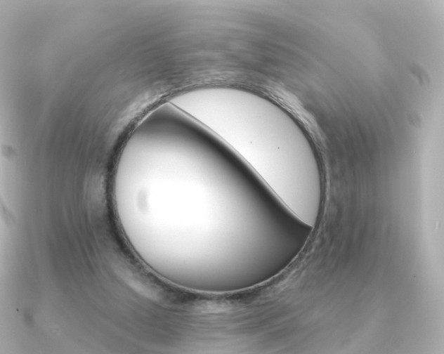 X0000091340250200708101024