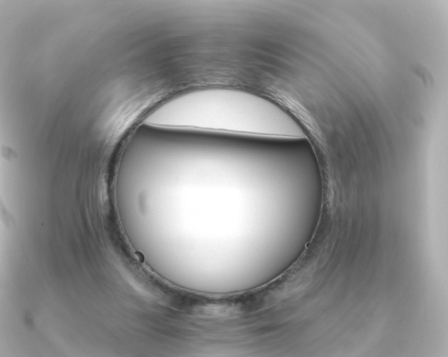 X0000091340251200708101024
