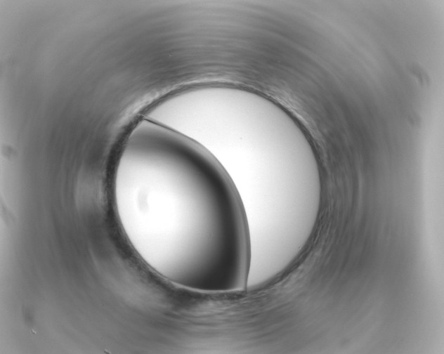 X0000091340252200708101024