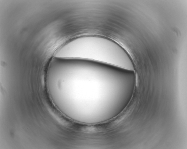 X0000091340253200708101024