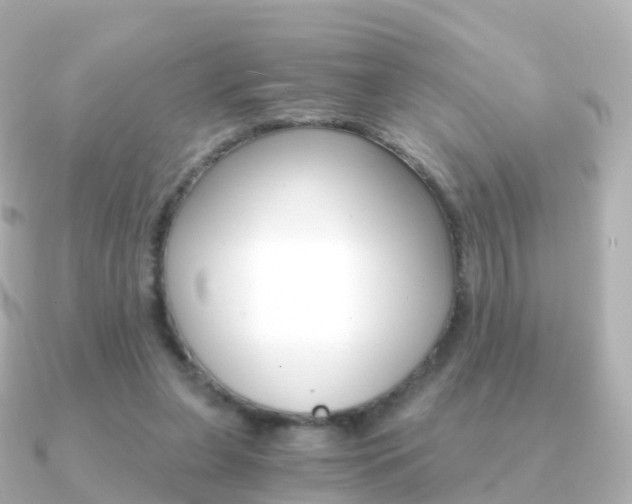 X0000091340255200708101024