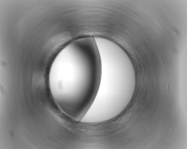 X0000091340256200708101024