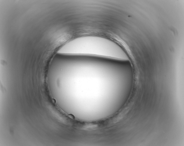 X0000091340257200708101024