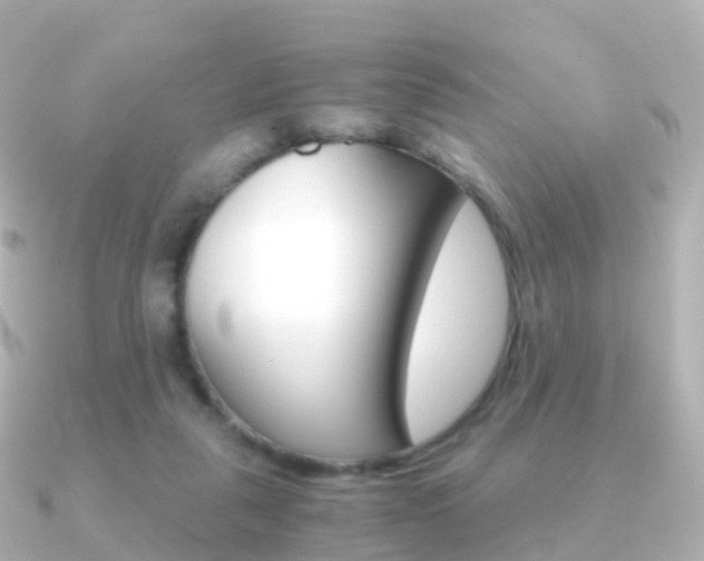 X0000091340259200708101024