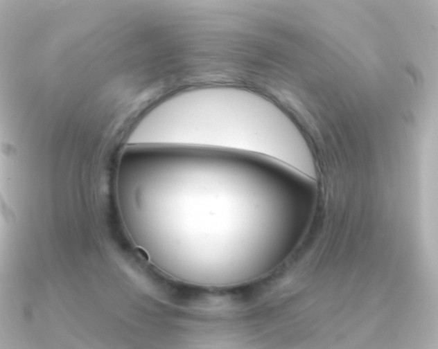 X0000091340260200708101024