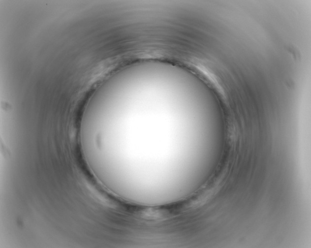 X0000091340261200708101024