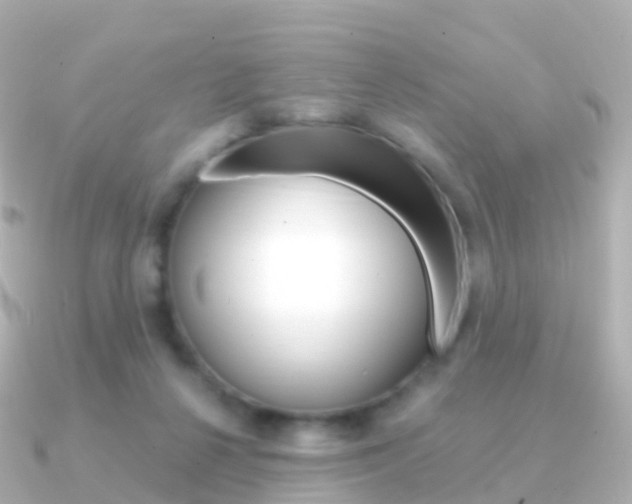 X0000091340264200708101024