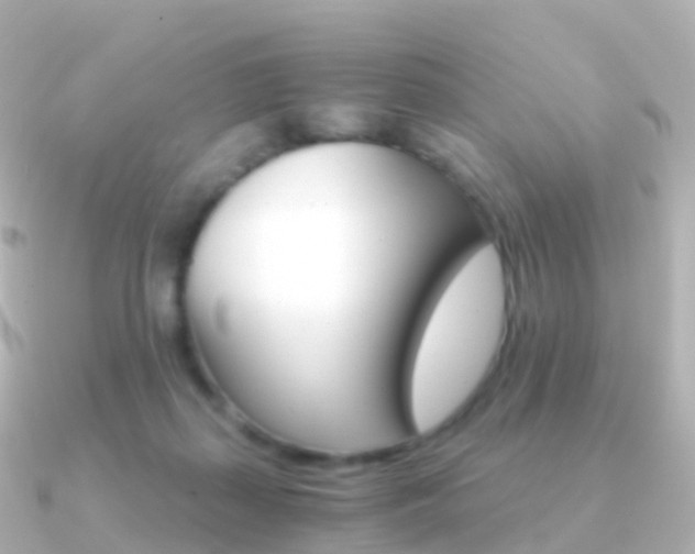 X0000091340267200708101024