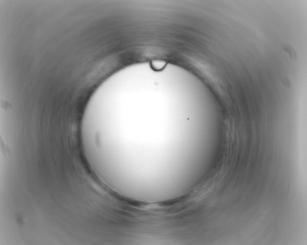 X0000091340269200708101024