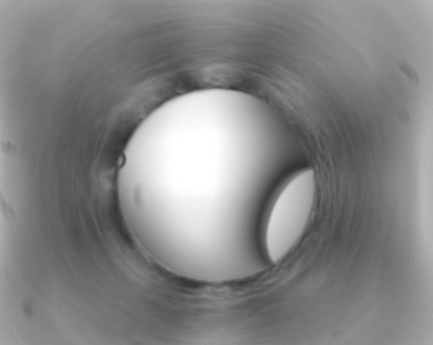 X0000091340271200708101024