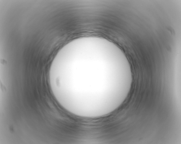 X0000091340272200708101024