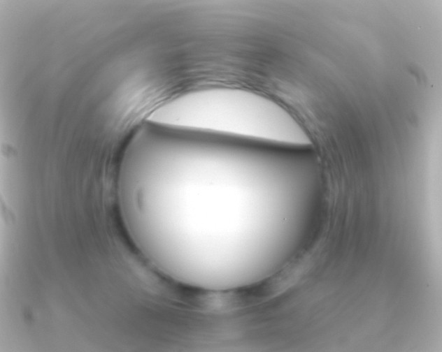 X0000091340273200708101024