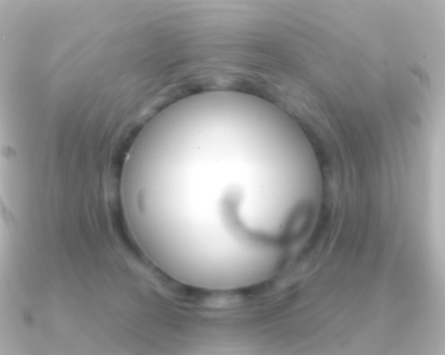 X0000091340274200708101024