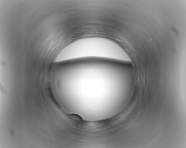 X0000091340277200708101024