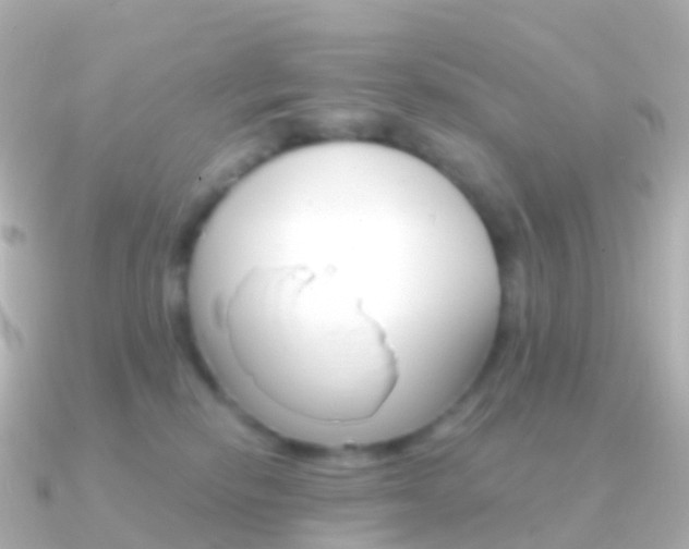 X0000091340278200708101024