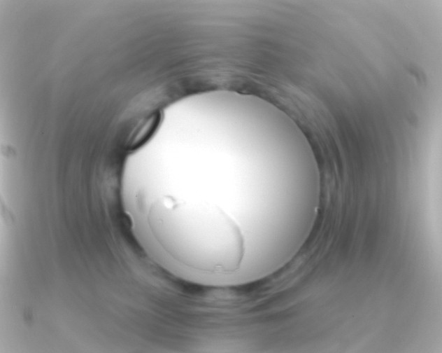 X0000091340279200708101025