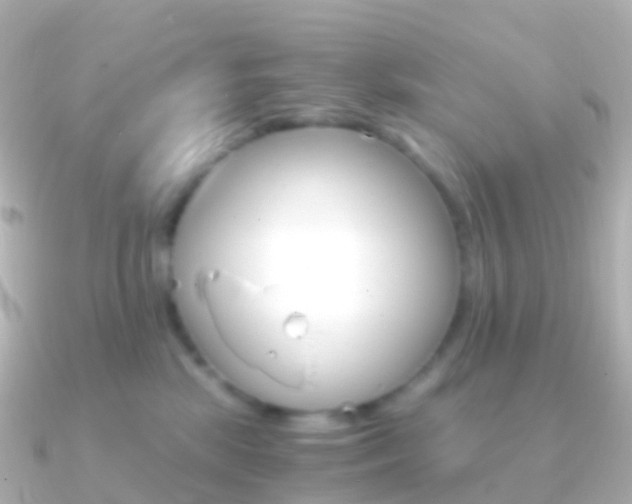 X0000091340281200708101025