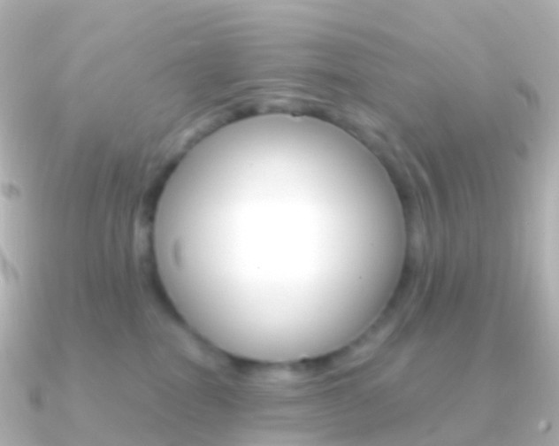 X0000091340282200708101025