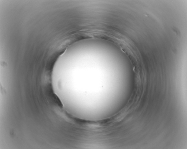 X0000091340284200708101025