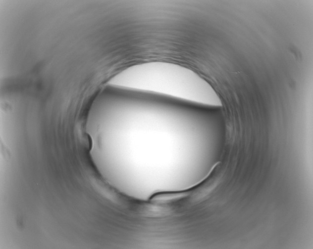 X0000091340286200708101025