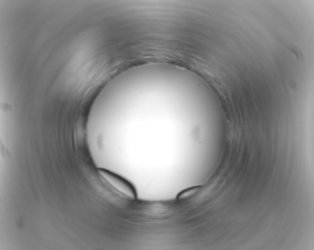X0000091340287200708101025