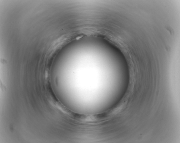 X0000091340288200708101025