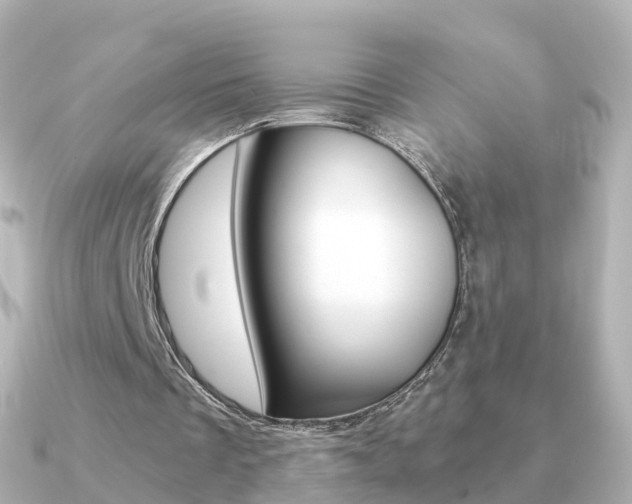 X0000091340289200708101024