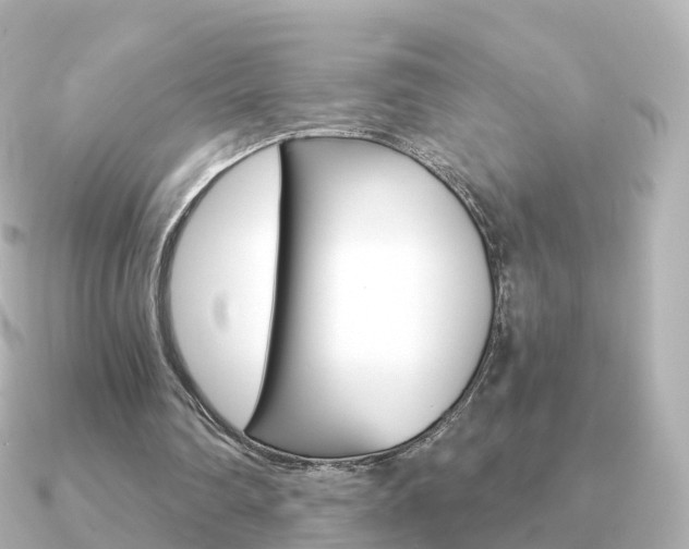 X0000091340290200708101024