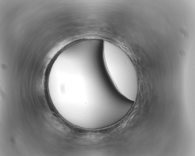 X0000091340292200708101024