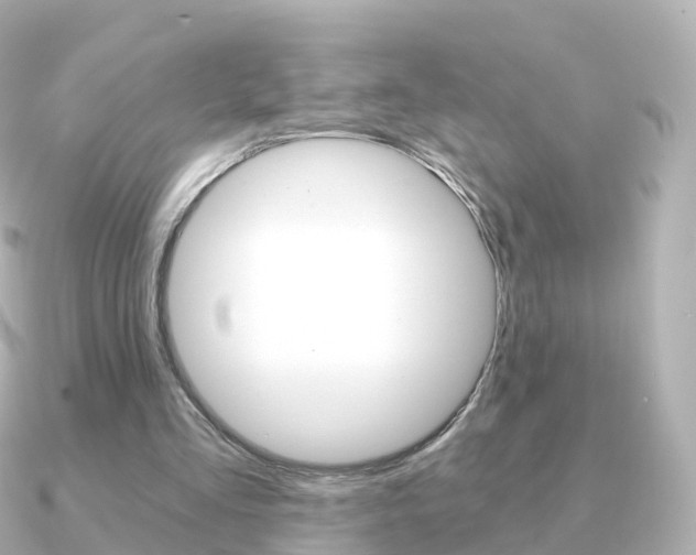 X0000091340293200708101024