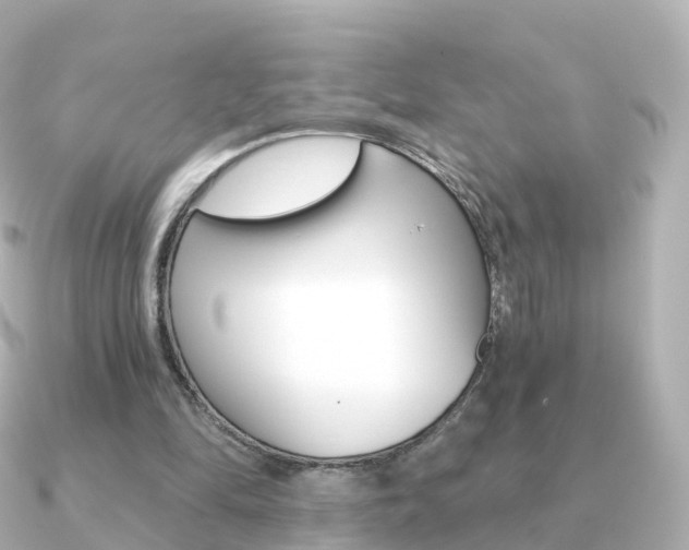 X0000091340294200708101024