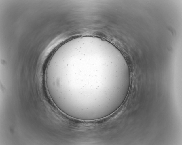 X0000091340295200708101024