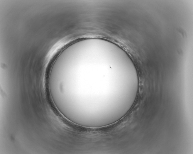 X0000091340296200708101024