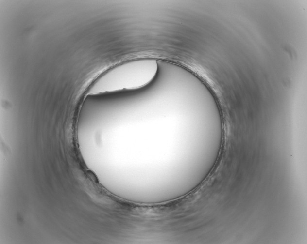 X0000091340297200708101024