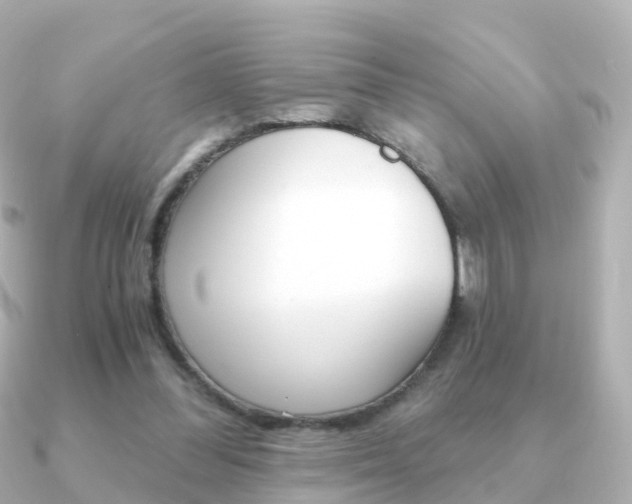 X0000091340300200708101024