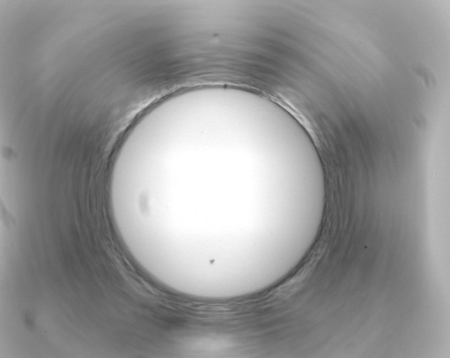 X0000091340301200708101024