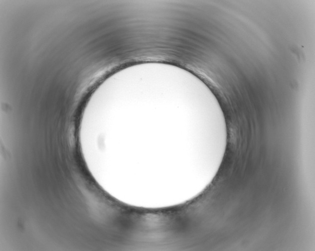 X0000091340302200708101024