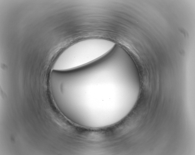 X0000091340303200708101024