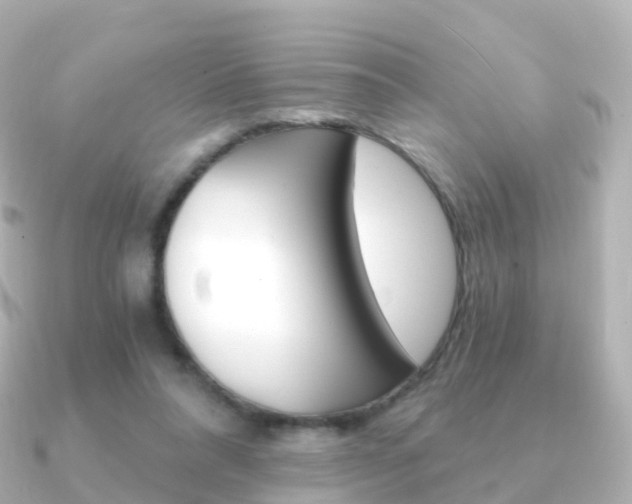 X0000091340304200708101024