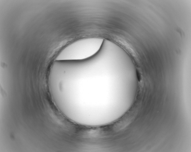 X0000091340306200708101024