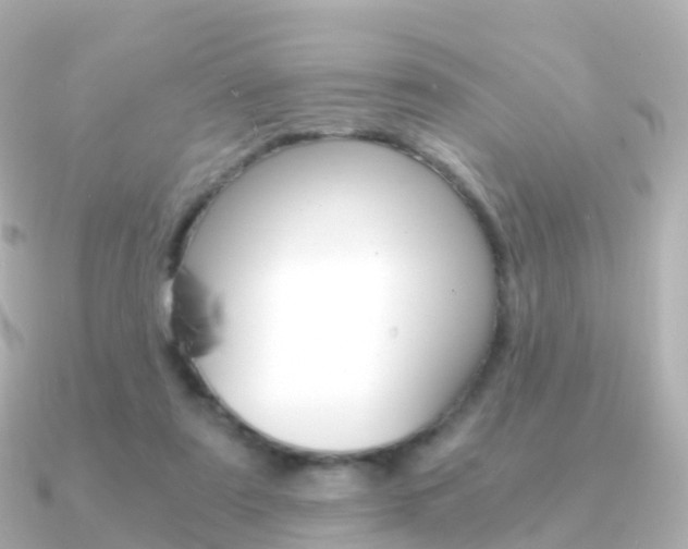 X0000091340307200708101024
