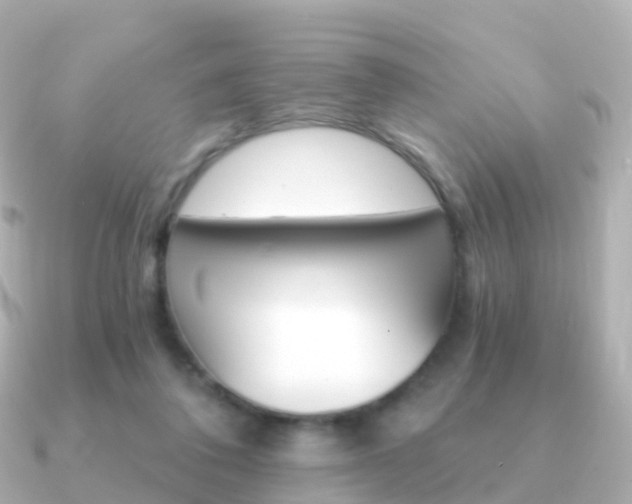 X0000091340308200708101024