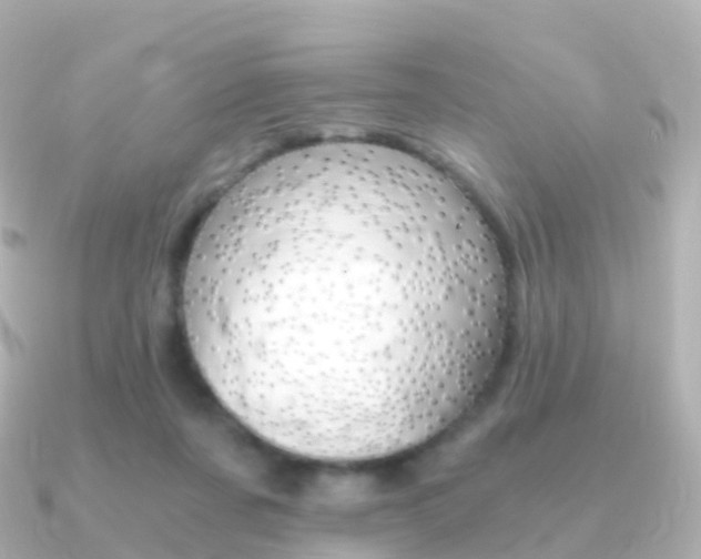 X0000091340311200708101024