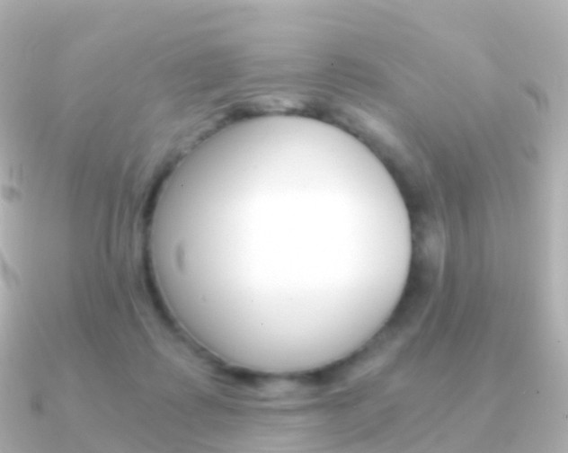X0000091340315200708101024