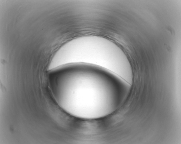X0000091340317200708101024