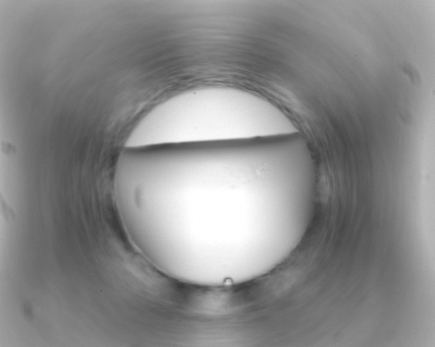 X0000091340318200708101024