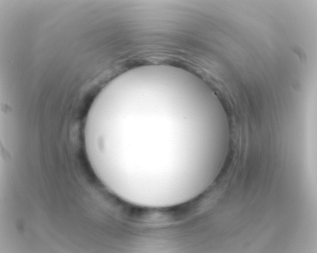X0000091340319200708101024