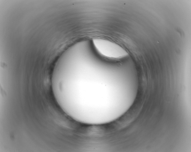 X0000091340320200708101024